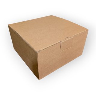 کارتن در دارویی ته قفلی ۲۰ در ۲۰ در ۱۰ سانت از ۵۰ عدد